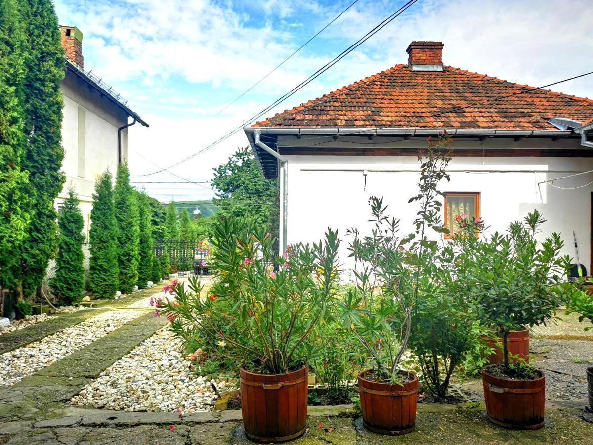 Casa Petrescu Villa Curtea de Argeş Exterior foto